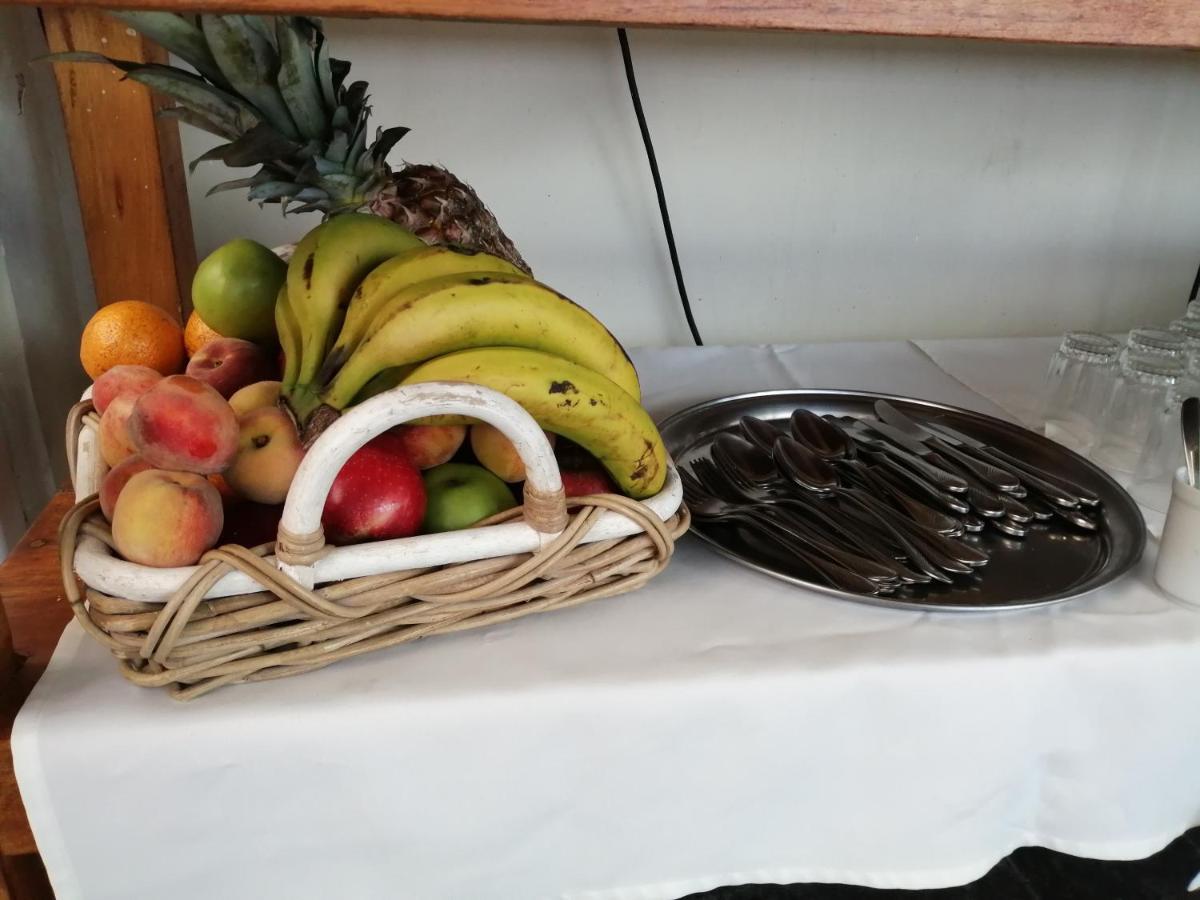 Casa Alevines Hostel & Suitesプンタ・デル・エステ エクステリア 写真