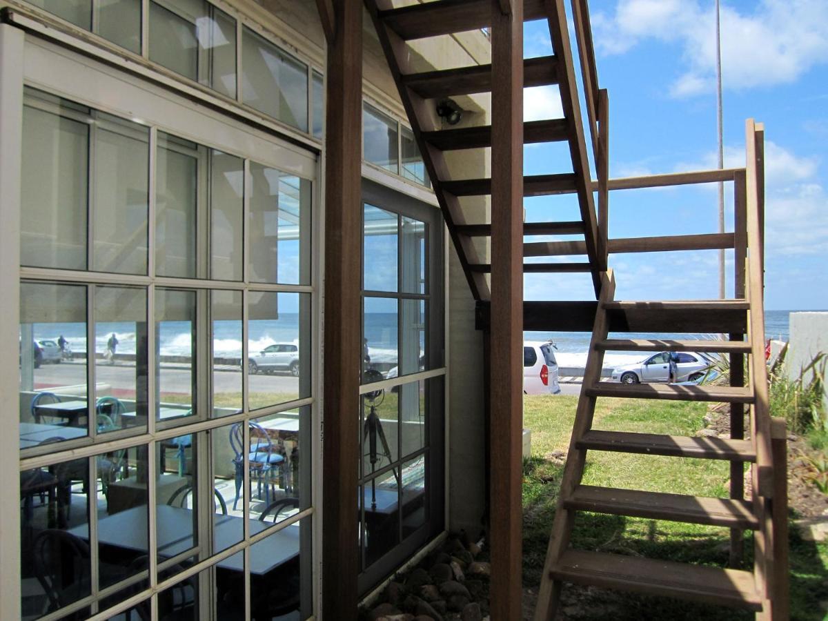 Casa Alevines Hostel & Suitesプンタ・デル・エステ エクステリア 写真